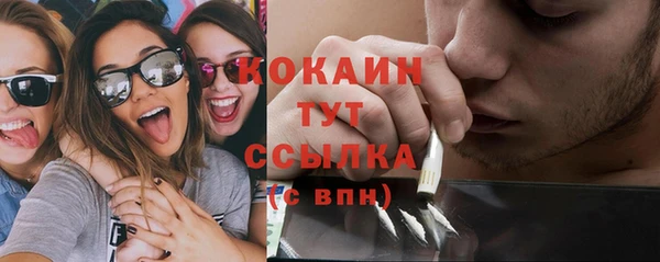 гашик Бородино