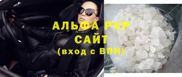 гашик Бородино
