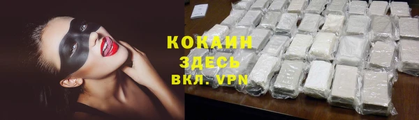 индика Беломорск