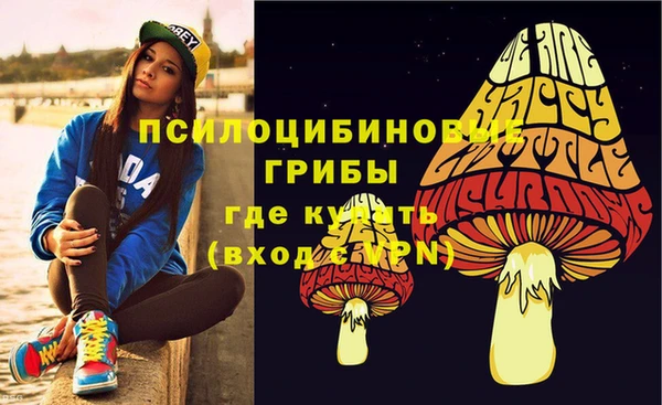 герыч Бронницы