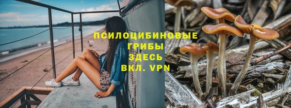гашик Бородино