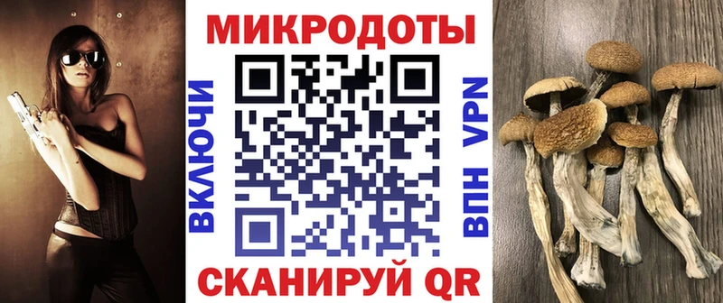 Псилоцибиновые грибы прущие грибы  Волчанск 